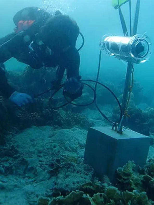 Robots Dive In: Reviving Coral Reefs with Cutting-Edge Technology